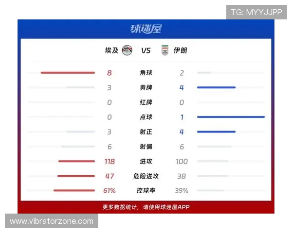 世界杯比利时对阵埃及比赛详细技术统计分析与关键数据解读